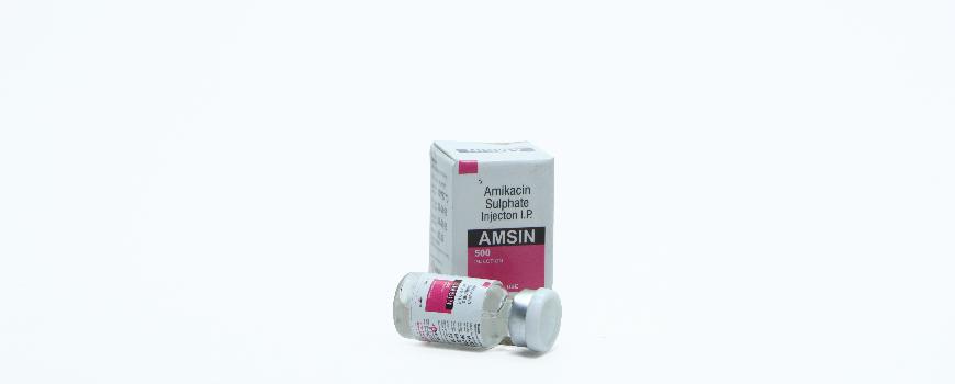 Amsin-500   