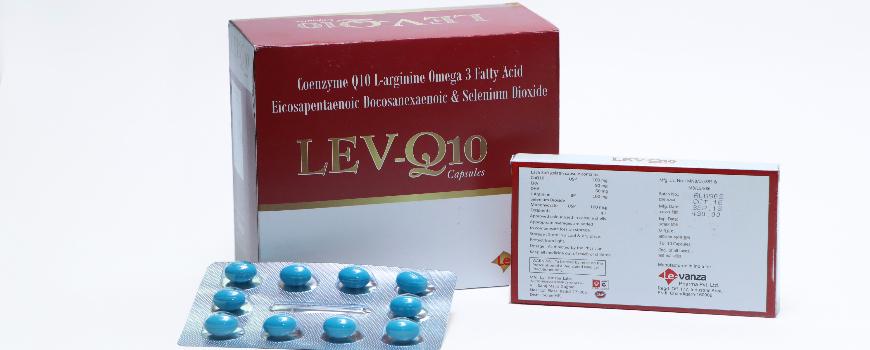 LEV-Q10